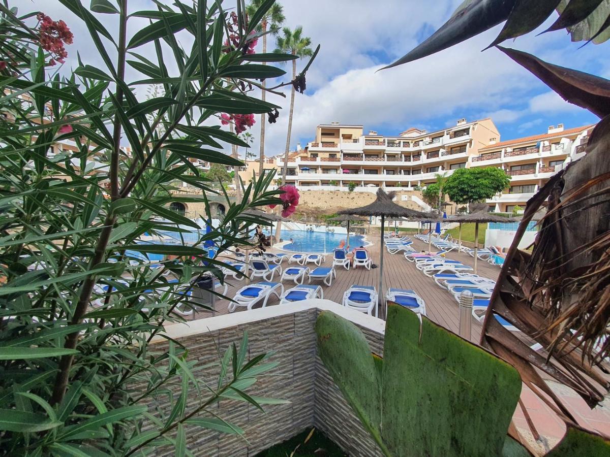 Brand New Apartment In Park Albatros With Pool View San Miguel de Abona Exteriör bild