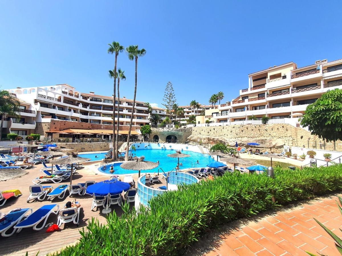 Brand New Apartment In Park Albatros With Pool View San Miguel de Abona Exteriör bild